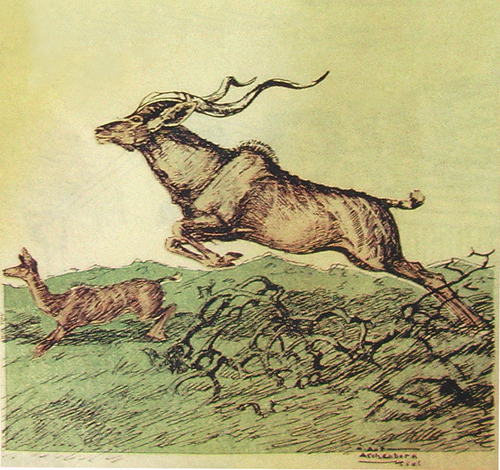 Bild Zwei springende Kudus von Uli Aschenborn